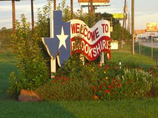 Mold Inspection Brookshire Texas