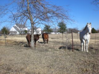 Fire Restoration Fairview Texas