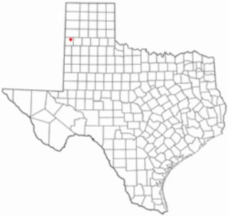 Mold Inspection Friona Texas