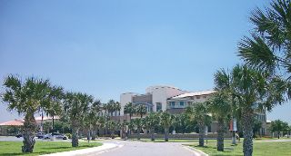 Mold Inspection Harlingen Texas
