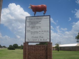 Mold Inspection Hereford Texas