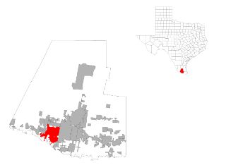 Mold Inspection Mission Texas
