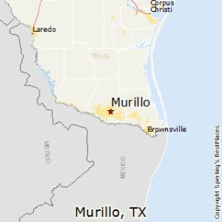 Mold Inspection Murillo Texas