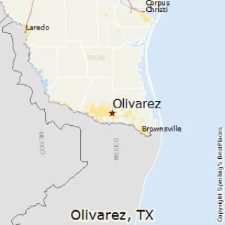 Mold Inspection Olivarez Texas