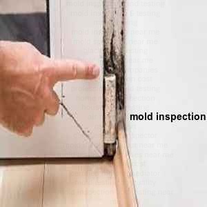 Mold Inspection services