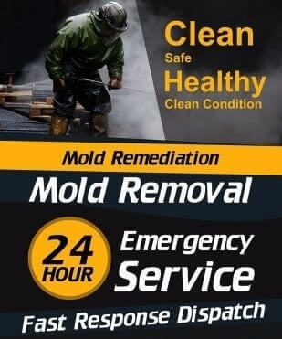 Mold Inspection West Columbia Texas    